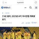 [속보]중국 2023년 AFC아시안컵 개최포기 이미지