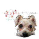 해수워터피아 이미지