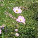 하송농장 이미지