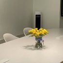 성서5길 | 3월下