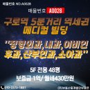 A0028 네이버블로그