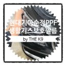 영천썬팅 네이버블로그