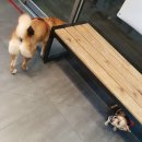 청라 공감 동물의료센터 이미지