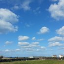 젠틀리하우스 이미지