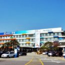 안성시장약국 이미지