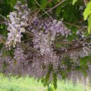 동화숲민박 이미지