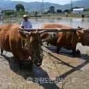 가락2리 이미지