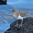 해맞이해안로 이미지