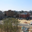 나무전거리 이미지