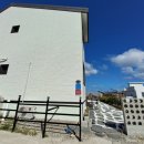 하얀바베르 이미지