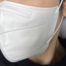 웰데이즈