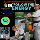 Official Operational Guidelines of the Jinyoung Ssangkum Ryu Haedong Kumdo 이미지