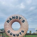 스테이보나 이미지