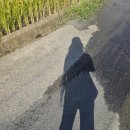 세븐스타 코인노래연습장 포항양덕점 | [일상] 왓츠인마이블로그 3주차