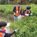 누리삼마을 이미지