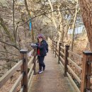 원주굽이길 11코스 혁신도시둘레길 | 치악산둘레길11코스, 한가터길(당둔지주차장~국형사 '25,12/21)~박경리문학공원~섬강자작나무숲길