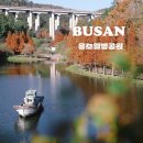 단장체육공원 | [부산] 기장 용소웰빙공원 가을 메타세콰이어 물드는 시간