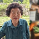 할머니김밥 이미지