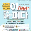 꽃이피다 이미지