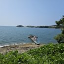 아리랑 꽃게랑 | 전북 부안의 애견동반 식당 방문기 - 아리랑 꽃게랑, 채석강 바닷길 포차, 내소식당, 산촌식당