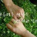 대부도 해바라기 펜션 이미지