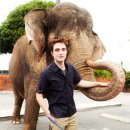 스타동물병원 이미지