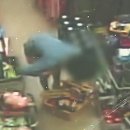 샛별보육원 이미지