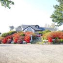 보헤미안 블루 이미지