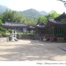 산청로 59번길 이미지