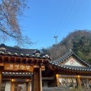 🎀3월29일 낮12시반~남산에서점심먹고 남산둘레길걸어요~🎀 이미지