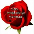 생거진천 전통시장 Daum카페