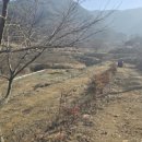 산과 자연의 쉼터 이미지