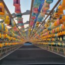 한지공원길 이미지