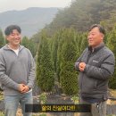 수형농장 이미지