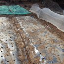 (주)호성 이미지