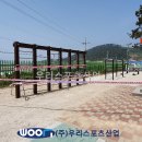 신의초등학교 이미지