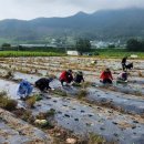 진안군 농업기술센터 이미지