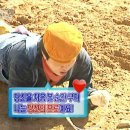 뒤죽박죽 이미지