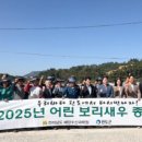 보리수산 이미지