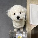 mummui(멈무이) 네이버블로그