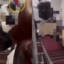 (주)신상네트워크 이미지