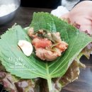 천통비빔돼지 이미지