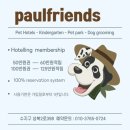 폴유치원 | 강아지가 행복한 수지 성복동 강아지 호텔 - '폴 프렌즈'