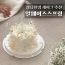 연남동 &#39;얼웨이즈스프링&#39; 웨딩촬영 브라이덜샤워 소품 미니 생화 케이크추천 후기 – 청순미 넘쳤다!