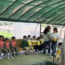 봉래초등학교병설유치원 이미지
