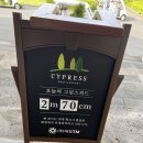 아성 골프연습장 | 사이프러스CC 여름 라운딩 후기, 이 잔디 실화?!