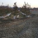 최병영농장 이미지