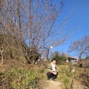 향초목원 이미지