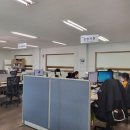 (주)비디텍