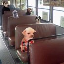 하이에이비에이발달센터 | 일본 홋카이도,1편(비에이투어)